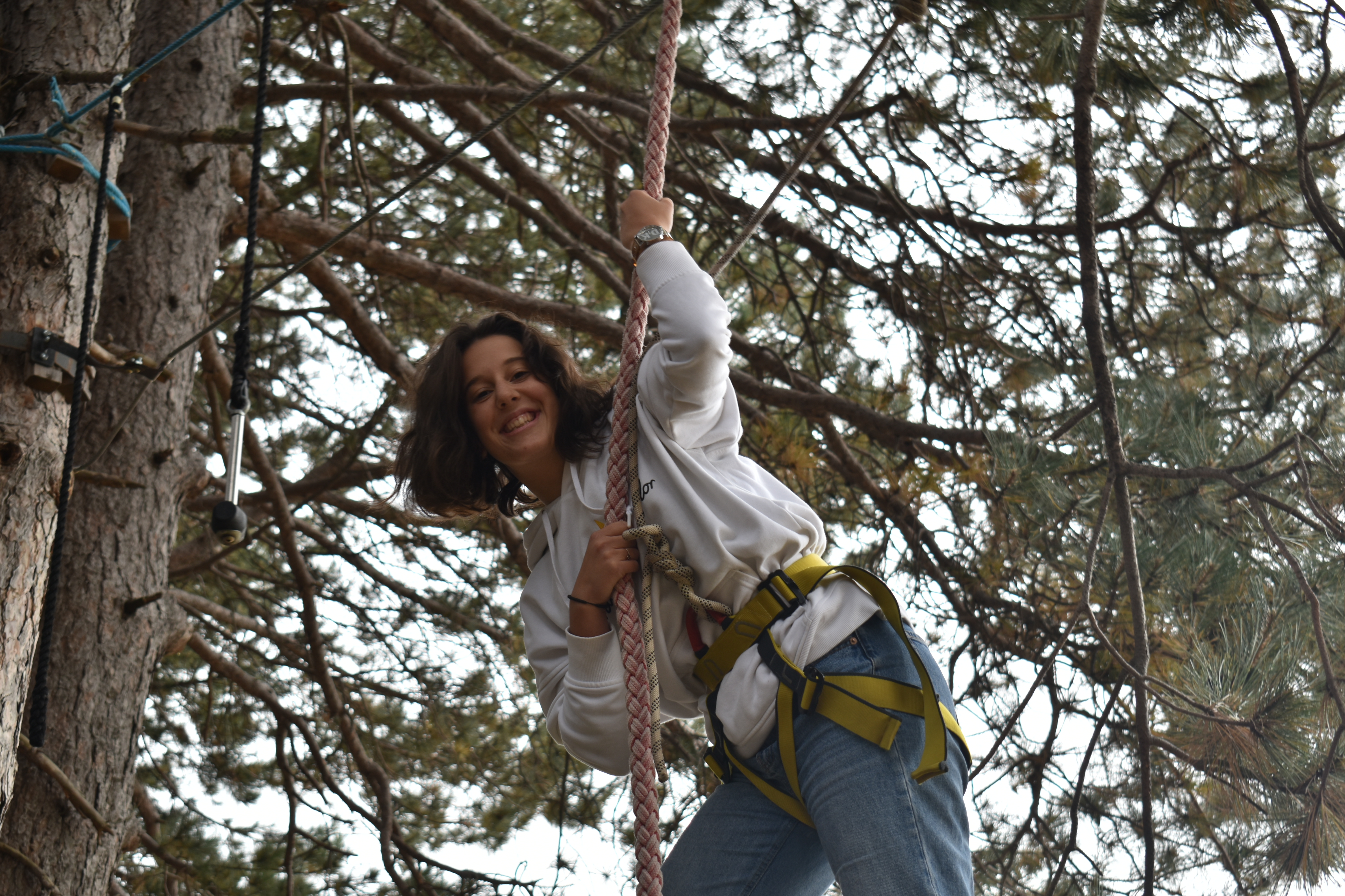 girl climbing on a tree
